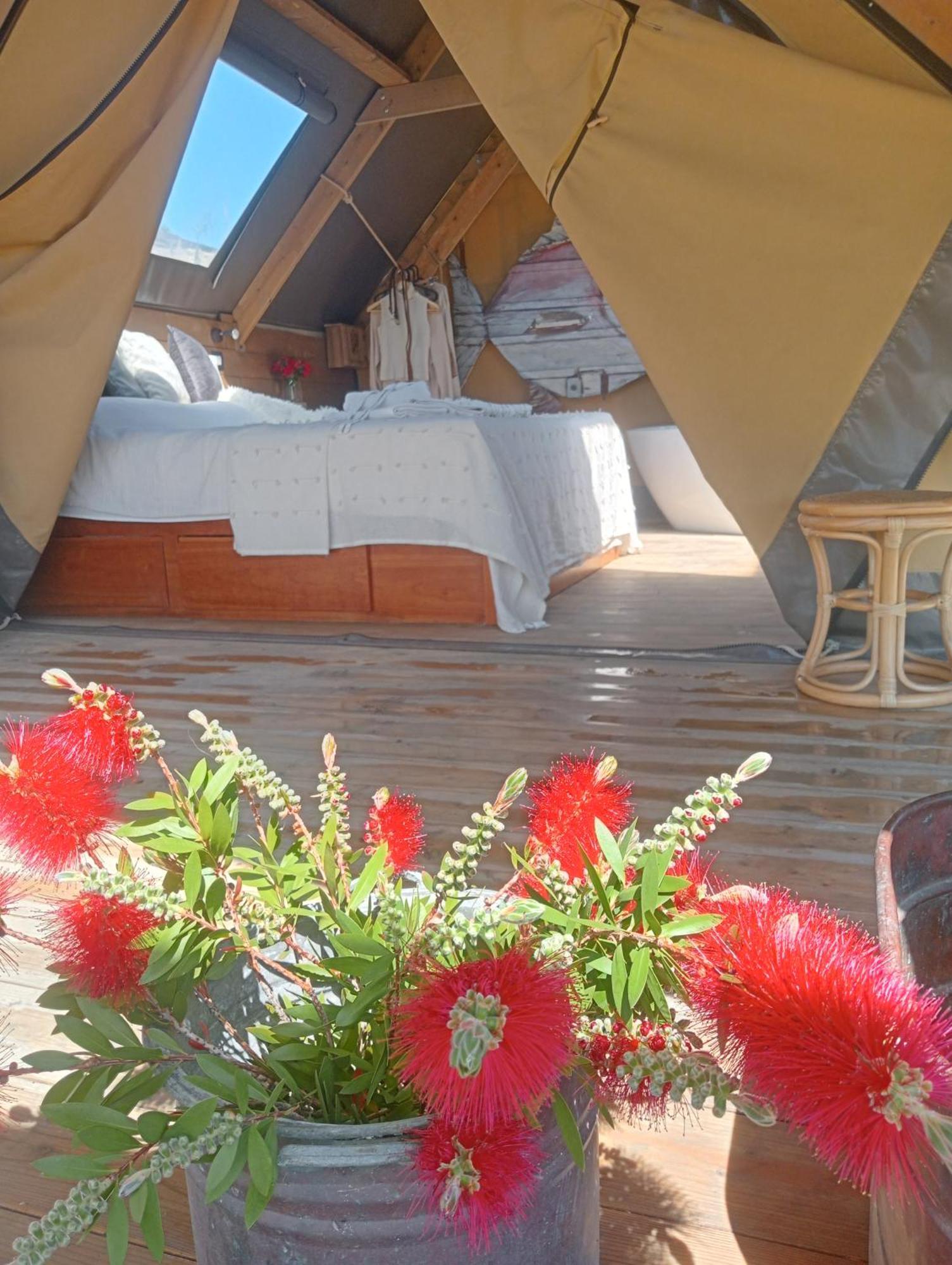 Agriturismo Podere Il Fornacino Santa Luce Exterior foto