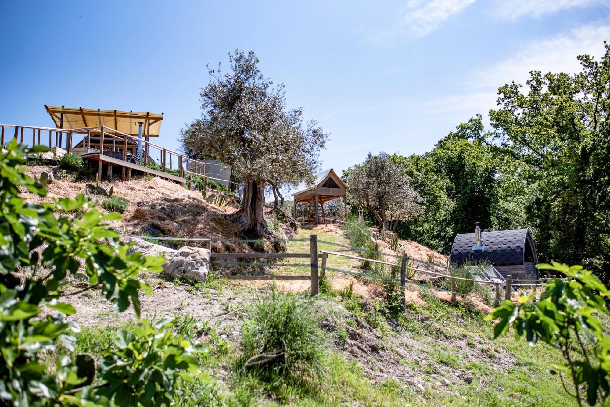 Agriturismo Podere Il Fornacino Santa Luce Exterior foto